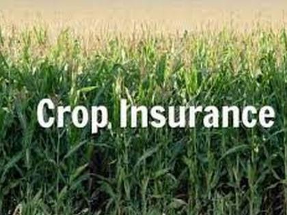 Farmers' not keen to crop insurance | पीक विम्याकडे शेतकऱ्यांची पाठ