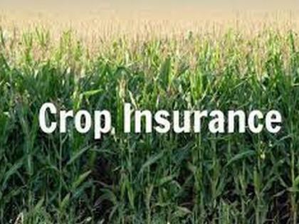 Complaints of only 38,000 farmers to the insurance company | केवळ ३८ हजार शेतकऱ्यांच्या तक्रारी विमा कंपनीकडे