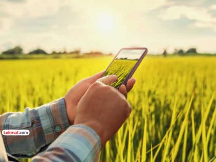 Take photos of crops within 20 meters, only then will e-crop registration be possible | पिकांचा २० मीटरच्या आतील फोटो काढा, तरच ई-पीक नोंदणी; डिजिटल क्रॉप सर्व्हे अॅपद्वारे नवी अट Take photos of crops within 20 meters, only then will e-crop registration be possible | पिकांचा २० मीटरच्या आतील फोटो काढा, तरच ई-पीक नोंदणी; डिजिटल क्रॉप सर्व्हे अॅपद्वारे नवी अट
