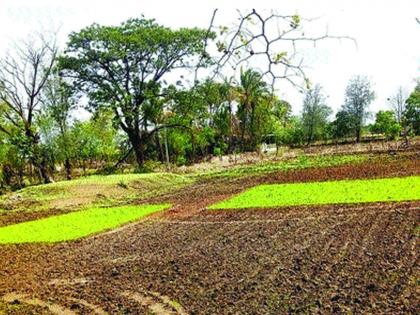 Crisis of double sowing on farmers in Palghar district | पालघर जिल्ह्यातील शेतकऱ्यांवर दुबार पेरणीचे संकट