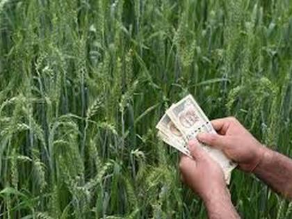 Crop loan to only 41 thousand farmers in Akola district! | अकोला जिल्ह्यात केवळ ४१ हजार शेतकऱ्यांना पीक कर्ज!