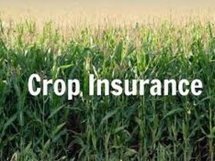 Insurance benefit to 10,000 farmers in Washim district | वाशिम  जिल्ह्यात १० हजार शेतकऱ्यांना विम्याचा लाभ