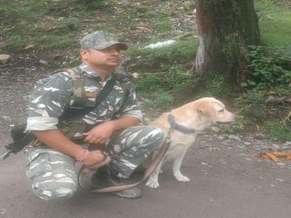 CRPF dog Ajaxi today found a man trapped under debris of landslide | सीआरपीएफच्या श्वानाने वाचवले दलदलीत रुतलेल्या व्यक्तीचे प्राण