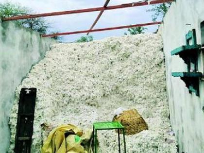 Cotton in house; Farmers in crisis! | कापूस घरात; शेतकरी संकटात!