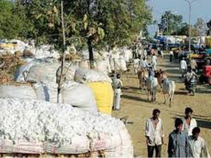 Marketing Federation pending 500 crores of farmers cotton | पणन महासंघाने थकवले ५०० कोटी रुपये!