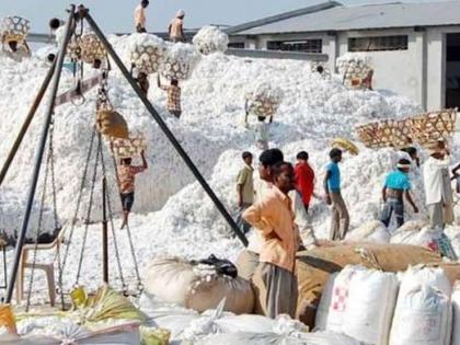 Cotton purchases at a slow pace; Buy only 74,000 quintals of cotton! | कापूस खरेदी संथ गतीने; केवळ ७४ हजार क्विंटल कापूस खरेदी!