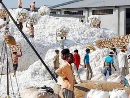 Cotton from other district sell in Washim district | परजिल्ह्यातील कापूस वाशिम जिल्ह्यात !