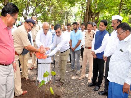 Cultivation of pimples in martyr memorial | राष्ट्रपिता महात्मा गांधी यांच्या जयंतीनिमित्त शहीद स्मारकामध्ये पिंपळाच्या रोपांची लागवड