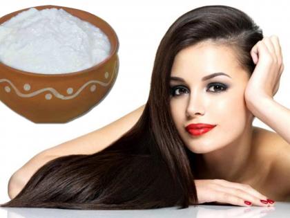 Curd hair pack or mask how to use dahi to have healthy hair | दह्यासोबत 'हे' मिश्रित करून लावा; केसांच्या सर्व समस्या होतील दूर