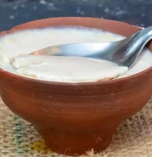 दह्यासोबत 'या' ३ गोष्टी खाणं करा सुरू, शरीराला मिळतील एकापेक्षा एक जबरदस्त फायदे!