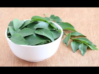 Curry leaves health benefits while chewing in the morning while waking up | Curry Leaves: सकाळी झोपेतून उठल्यावर आवर्जून खा कढीपत्त्याची पाने, जवळही येणार नाही या समस्या