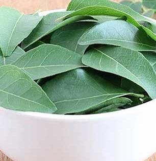 रोज कढीपत्ता खा, १४ दिवसांनी पाहा शरीरात घडलेली जादू! उपाय सोपा पण लाखमोलाचा