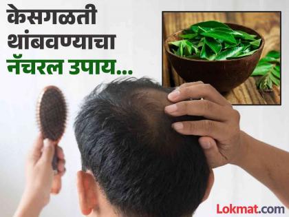 How to use curry leaves to stop hair fall | केसगळतीची आणि कोंड्याची समस्या लगेच होईल दूर, कढीपत्त्याचा 'असा' करा वापर!