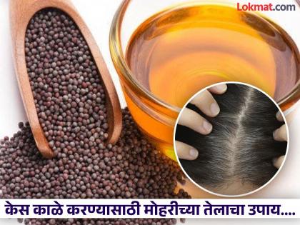 Use mustard oil and Kalonji to turn white hair black | पांढरे केस काळे करण्यासाठी मोहरीच्या तेला मिक्स करा 'ही' एक गोष्ट, मग बघा कमाल!