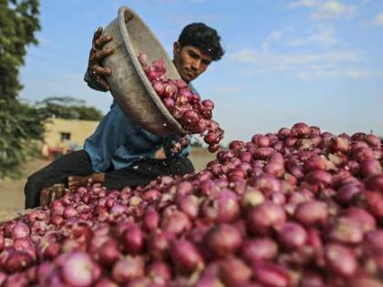 Government relief to onion farmers; 350 per quintal subsidy announced | कांदा उत्पादकांना सरकारकडून दिलासा; प्रति ३५० रुपये क्विंटल अनुदान जाहीर