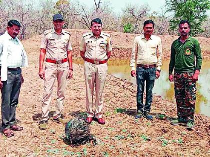 one more cylinder falling from the sky were found at the Tadoba Tiger Project | ताडोबा व्याघ्र प्रकल्पातही आढळले आकाशातून पडलेले सिलिंडर