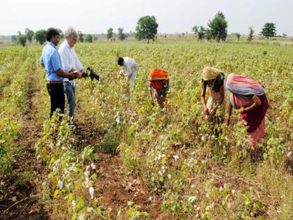 Arrivals from Europe arrive for information on organic farming | सेंद्रीय शेतीची माहिती घेण्यासाठी युरोपातील पथकाचे आगमन Arrivals from Europe arrive for information on organic farming | सेंद्रीय शेतीची माहिती घेण्यासाठी युरोपातील पथकाचे आगमन