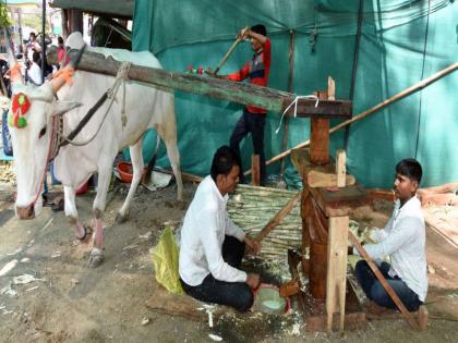 The soul is stirring the cold of sugarcane in the dust | धुळ्यात ऊसाचा थंड गोडवा करतोय आत्मा गार The soul is stirring the cold of sugarcane in the dust | धुळ्यात ऊसाचा थंड गोडवा करतोय आत्मा गार