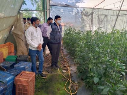 Agriculture inspection by Samode District Collector | सामोडेत जिल्हाधिकाऱ्यांकडून शेतीची पाहणी Agriculture inspection by Samode District Collector | सामोडेत जिल्हाधिकाऱ्यांकडून शेतीची पाहणी