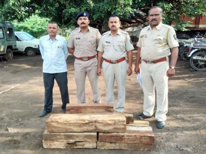 Forest Department seized teak wood | वनविभागाने पकडले सागवानी लाकूड