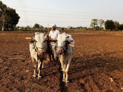 Banks will deduct mutual crop insurance premium if declaration is not given | घोषणापत्र न दिल्यास बँका परस्पर पीक विमा हप्ता कापणार