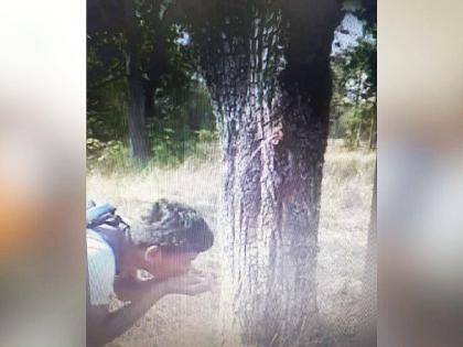 miracle... the edge of water like a tap from the trunk of the tree, the video went viral | चमत्कारच... झाडामधून नळासारखी पाण्याची धार, व्हिडीओ सर्वत्र व्हायरल