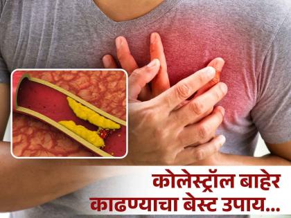 How to and when eat garlic to control bad cholesterol in body | कोलेस्ट्रॉल कमी करायचं असेल तर रोज चाऊन खा 'हा' एक मसाला, लगेच दिसेल फरक!