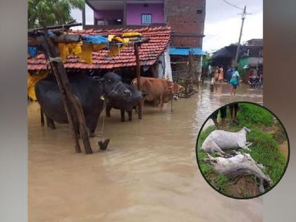 A sky-high crisis fell on the district; Three farm laborers killed, 25 injured due to lightning strike | जिल्ह्यावर कोसळले अस्मानी संकट; तीन शेतमजुरांचा मृत्यू, तीन बकऱ्या ठार