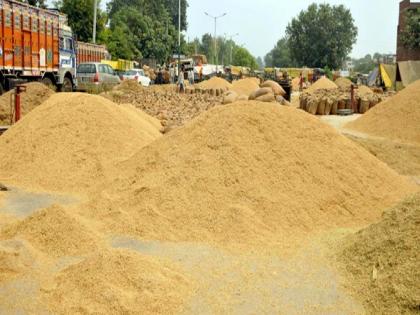 Action taken against 37 rice millers for substandard rice supply, blacklisted for three years | निकृष्ट तांदूळ पुरवठाप्रकरणी ३७ राइस मिलर्सवर कारवाई, तीन वर्षांसाठी टाकले काळ्या यादीत