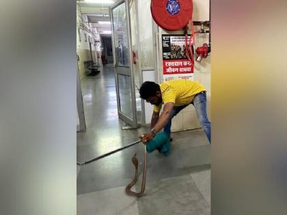 Chaos after snake crawls inside the super specialty hospital | अन् सुपर स्पेशालिटी हॉस्पिटलमध्ये निघाला कोब्रा, एकच खळबळ