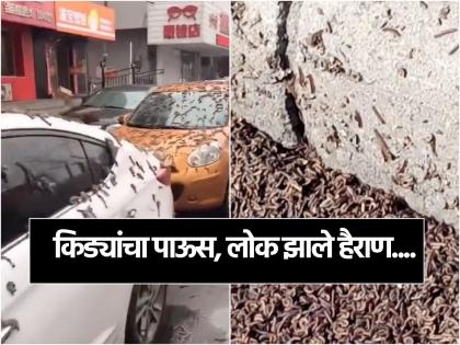 Mysterious rain storm of worms in China residents use umbrellas for protection | आकाशातून पडतोय किड्यांचा पाऊस, लोक छत्री घेऊन निघत आहेत बाहेर; कुणालाच माहीत नाही रहस्य!