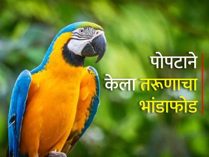 Pet parrot expose boyfriend secret affair with another woman in front of girlfriend Reddit | पोपटाने तरूणाला दिला झटका, गर्लफ्रेंड समोरच केली त्याच्या दुसऱ्या अफेअरची पोलखोल