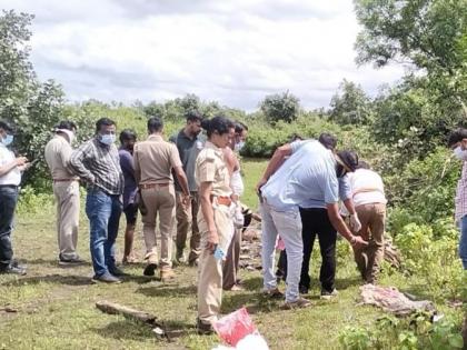 A decomposed body of a tiger was found in fourteen pieces in Wardha district | वर्धा जिल्ह्यात तब्बल चौदा तुकड्यांत आढळला वाघाचा कुजलेला मृतदेह