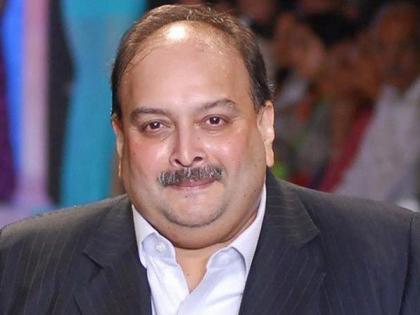 Enforcement Directorate has filed a counter affidavit in a Mumbai court in connection with Mehul Choksi case | चोक्सीसाठी 'एअर अ‍ॅम्बुलन्स'ची व्यवस्था करु त्याने भारतात यावं; ईडीने दाखल केलं प्रतिज्ञापत्र