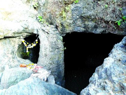  Dazzling vegetation appeared on Barda mountain | बारडा डोंगरावर झाले चकाकणाऱ्या वनस्पतीचे दर्शन