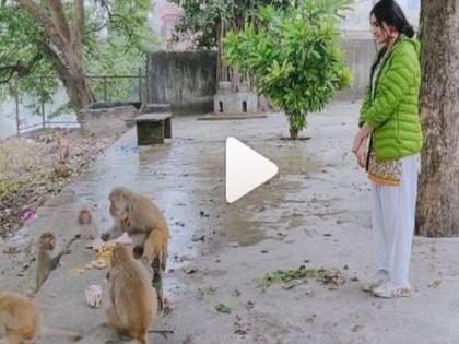 Video: The actress, who was seen chatting in English with the monkeys, was a troll on social media | Video: माकडांसोबत इंग्रजीत गप्पा मारताना दिसली ही अभिनेत्री, सोशल मीडियावर झाली ट्रोल