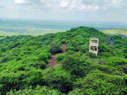 Tourists are attracted to Dandoba area in Sangli, there is a lot of traffic due to the spread of greenery on the mountains | सांगलीतील दंडोबा परिसराची पर्यटकांना भुरळ, डोंगरावर हिरवाई पसरल्याने मोठी वर्दळ