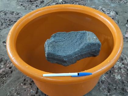 Geographical wonders, Pumice stone floating on water found in Sindhudurga | भौगोलिक चमत्कार! सिंधुदुर्गात सापडला पाण्यावर तरंगणारा 'प्युमिस' दगड