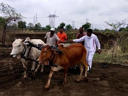 Delay in Crop loans; Sowing of stones by the office bearers of 'Swabhimani' | पीककर्जास विलंब; ‘स्वाभिमानी’च्या पदाधिकाऱ्यांकडून दगडाची पेरणी