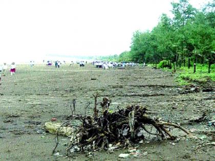 pollution in dahanu beach | काही वर्षांपासून किनाऱ्याची धूप : प्रकल्पांमुळे निसर्गावर घातला जाणार घाला