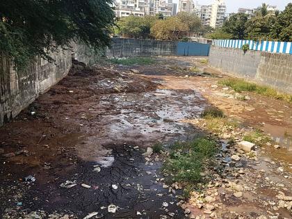 Dahisar river created by Tabelas 'River of Sheen' | तबेल्यांनी दहिसर नदी बनवली ‘शेणाची नदी’