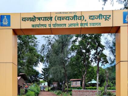 Tourists banned in Dajipur Sanctuary on Saturday, Sunday | Kolhapur: दाजीपूर अभयारण्यात येत्या शनिवार, रविवारी पर्यटकांना बंदी