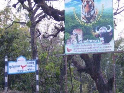 Dajipur Sanctuary closed for two days in view of December 31; Forest department, police administration ready | Kolhapur News: ३१ डिसेंबरच्या पार्श्वभूमीवर 'दाजीपूर अभयारण्य' दोन दिवस बंद राहणार