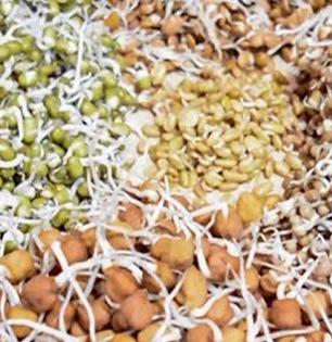Diet Tips : डाळी आणि कडधान्यं खाण्याचे ३ महत्त्वाचे नियम, प्रोटीनच्या नावाखाली वाट्टेल तसं खाल तर..
