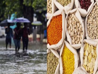 Heavy rains in Marathwada, Vidarbha; Loss of pulses worries Sangli | मराठवाडा, विदर्भात अतिवृष्टी; डाळींच्या नुकसानीने सांगलीत चिंता