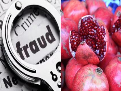 Case registered against couple who cheated of Rs 1 crore by luring them to invest in Pomegranate company in Satara | Satara: 'डाळिंब' कंपनीत गुंतवणुकीच्या आमिषाने १ कोटीचा गंडा, दाम्पत्यावर गुन्हा दाखल