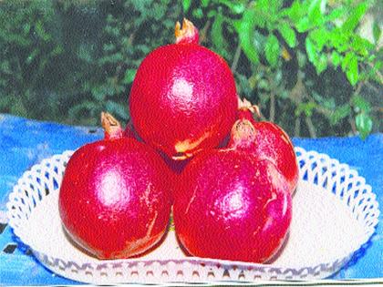 High price for pomegranate | डाळिंबाला उच्चांकी भाव