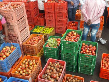 Due to increase in arrivals, the rate of pomegranate prices declined in the winter season | आवक वाढल्याने सोलापूरातील डाळिंबाचे दर घसरले