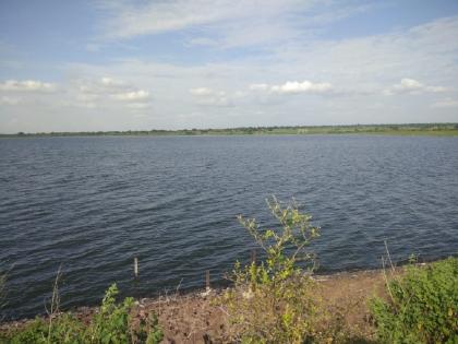 Four medium projects overflow in Latur district! | लातूर जिल्ह्यातील ४ मध्यम प्रकल्प ओव्हरफ्लो, मांजरा धरणात मात्र ४८.१७ टक्के पाणीसाठा 