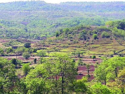 Open the path to the completion of the Kothari dam | कोथेरी धरणाच्या पूर्णत्वाचा मार्ग मोकळा